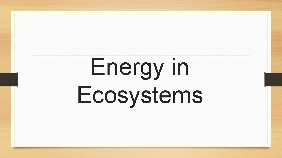 Energy in Ecosystems 