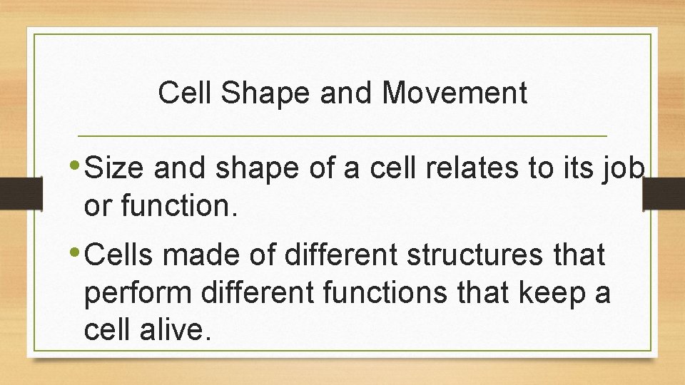 Cell Shape and Movement • Size and shape of a cell relates to its