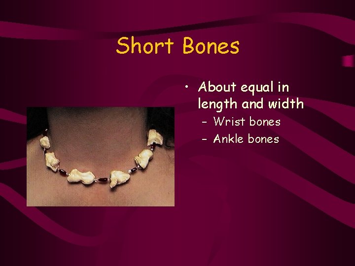 Short Bones • About equal in length and width – Wrist bones – Ankle