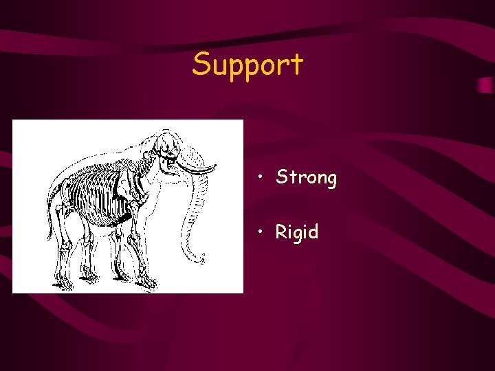 Support • Strong • Rigid 