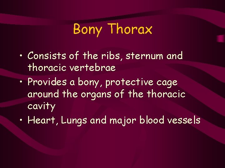 Bony Thorax • Consists of the ribs, sternum and thoracic vertebrae • Provides a