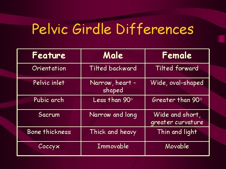 Pelvic Girdle Differences Feature Male Female Orientation Tilted backward Tilted forward Pelvic inlet Narrow,