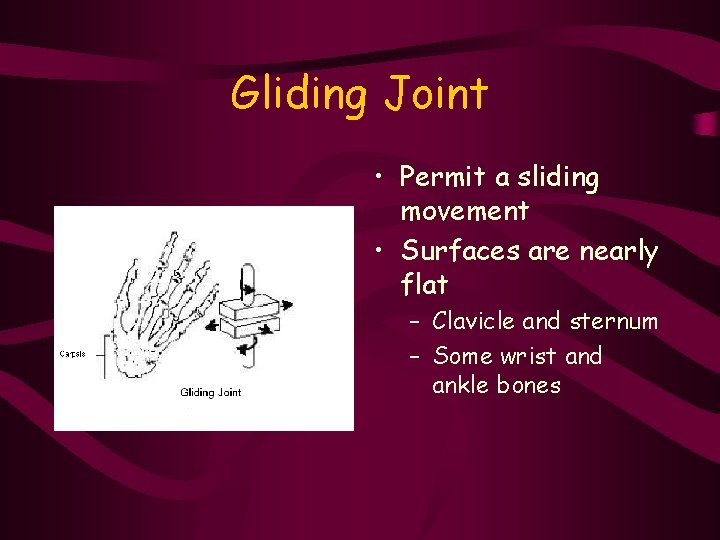 Gliding Joint • Permit a sliding movement • Surfaces are nearly flat – Clavicle