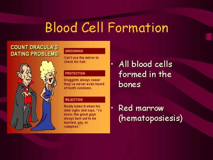Blood Cell Formation • All blood cells formed in the bones • Red marrow