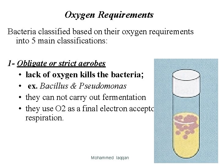 Oxygen Requirements Bacteria classified based on their oxygen requirements into 5 main classifications: 1 Oxygen Requirements Bacteria classified based on their oxygen requirements into 5 main classifications: 1