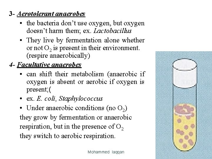 3 - Aerotolerant anaerobes • the bacteria don’t use oxygen, but oxygen doesn’t harm 3 - Aerotolerant anaerobes • the bacteria don’t use oxygen, but oxygen doesn’t harm