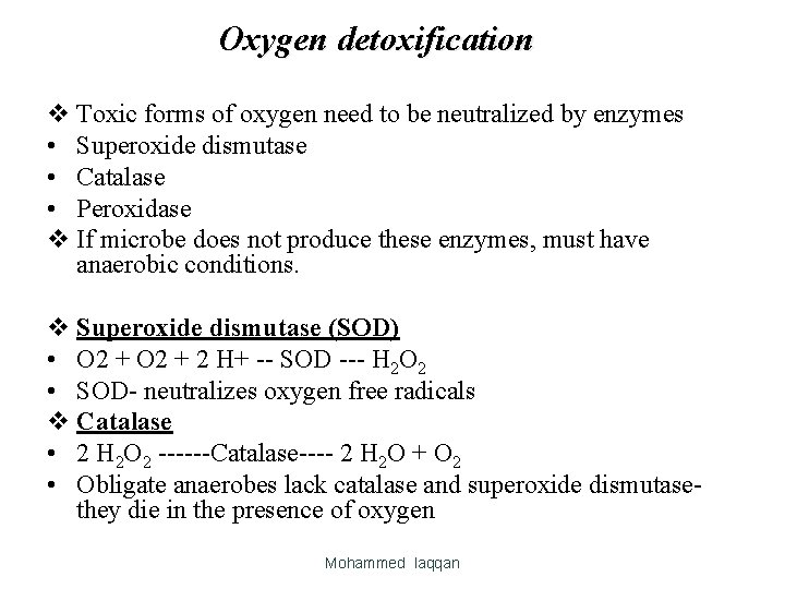 Oxygen detoxification v Toxic forms of oxygen need to be neutralized by enzymes • Oxygen detoxification v Toxic forms of oxygen need to be neutralized by enzymes •