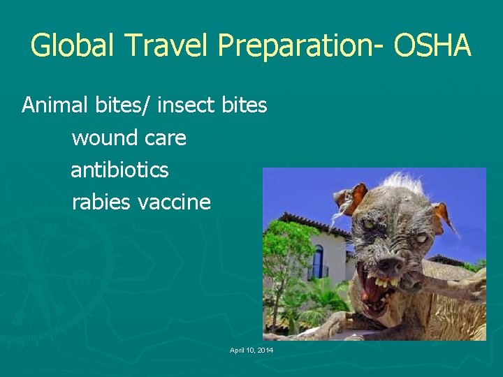 Global Travel Preparation- OSHA Animal bites/ insect bites wound care antibiotics rabies vaccine April