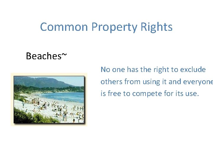 Common Property Rights Beaches~ No one has the right to exclude others from using