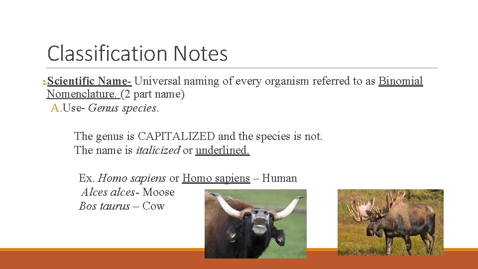 Classification Notes Scientific Name- Universal naming of every organism referred to as Binomial Nomenclature. Classification Notes Scientific Name- Universal naming of every organism referred to as Binomial Nomenclature.
