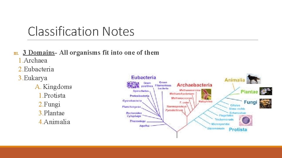 Classification Notes 3 Domains- All organisms fit into one of them 1. Archaea 2. Classification Notes 3 Domains- All organisms fit into one of them 1. Archaea 2.