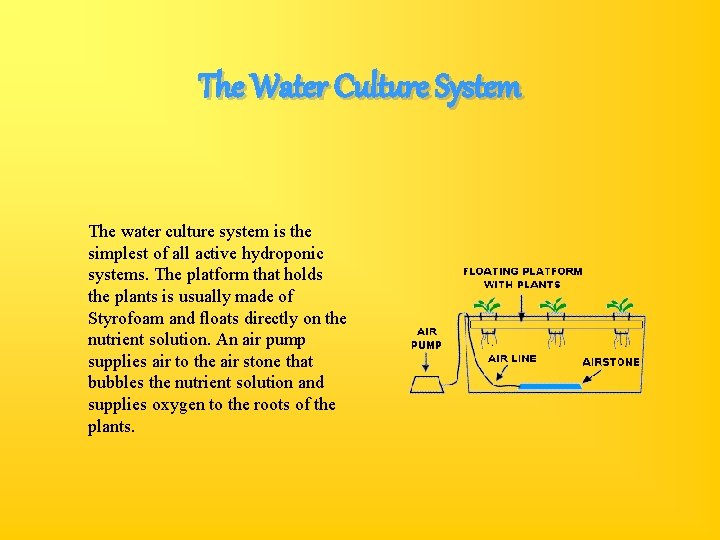 The Water Culture System The water culture system is the simplest of all active