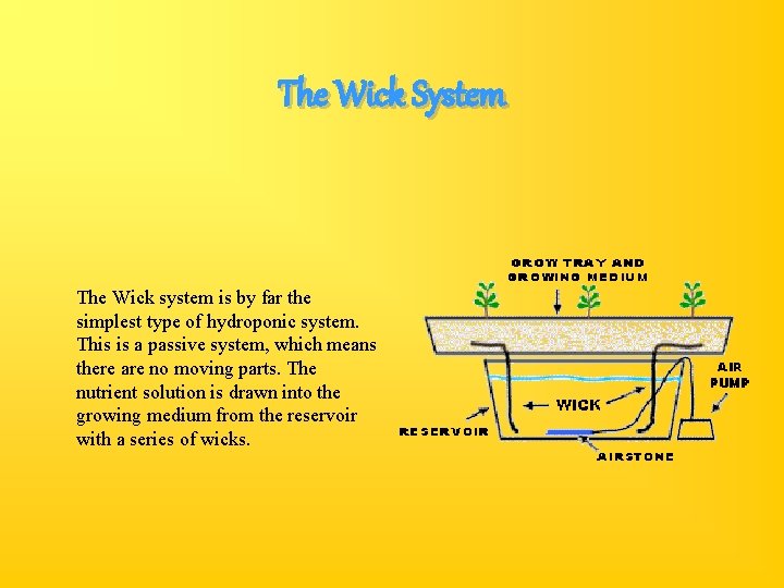 The Wick System The Wick system is by far the simplest type of hydroponic