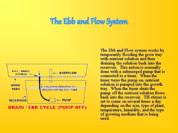 The Ebb and Flow System The Ebb and Flow system works by temporarily flooding