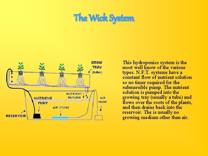 The Wick System This hydroponics system is the most well know of the various