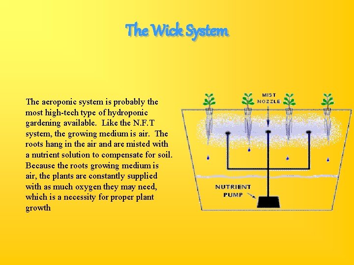 The Wick System The aeroponic system is probably the most high-tech type of hydroponic