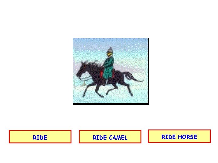 RIDE CAMEL RIDE HORSE 