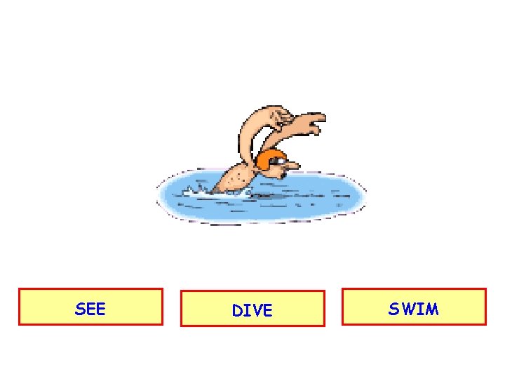 SEE DIVE SWIM 