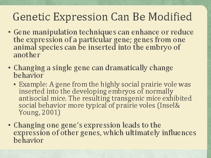 Genetic Expression Can Be Modified • Gene manipulation techniques can enhance or reduce the