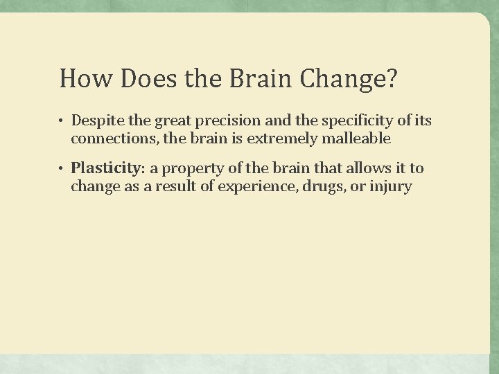 How Does the Brain Change? • Despite the great precision and the specificity of