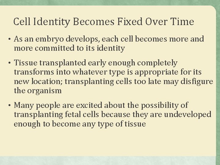 Cell Identity Becomes Fixed Over Time • As an embryo develops, each cell becomes