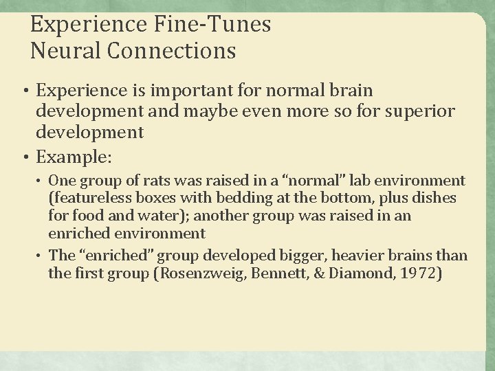 Experience Fine-Tunes Neural Connections • Experience is important for normal brain development and maybe