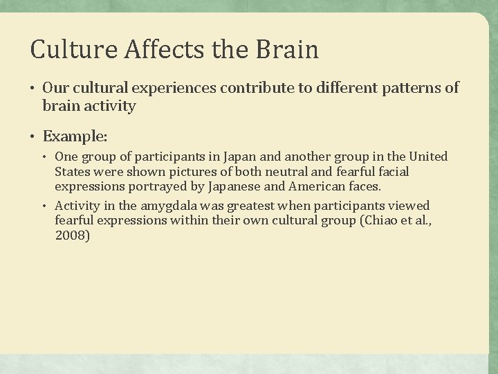 Culture Affects the Brain • Our cultural experiences contribute to different patterns of brain