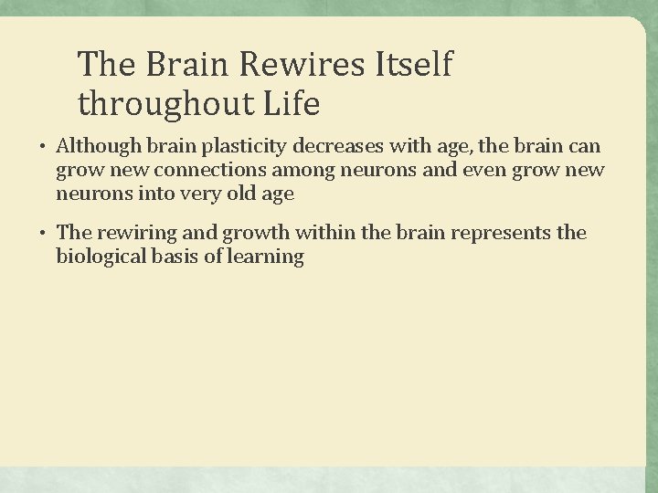 The Brain Rewires Itself throughout Life • Although brain plasticity decreases with age, the