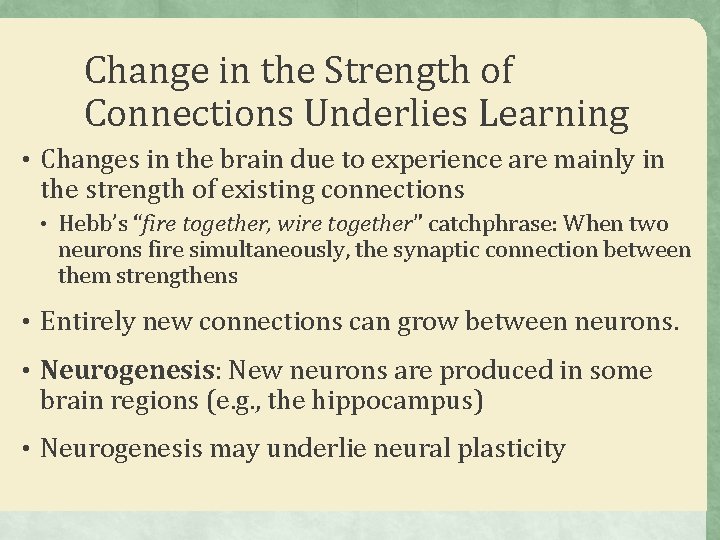 Change in the Strength of Connections Underlies Learning • Changes in the brain due