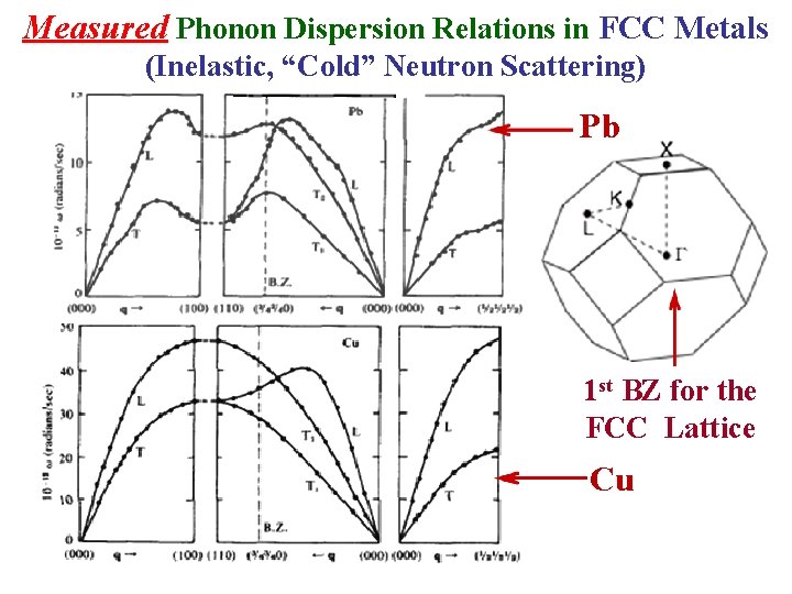 Measured Phonon Dispersion Relations in FCC Metals (Inelastic, “Cold” Neutron Scattering) Pb 1 st