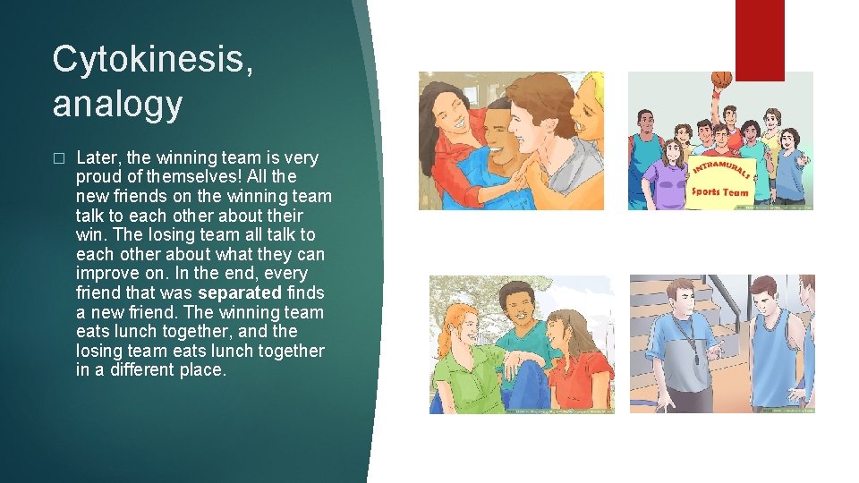 Cytokinesis, analogy � Later, the winning team is very proud of themselves! All the