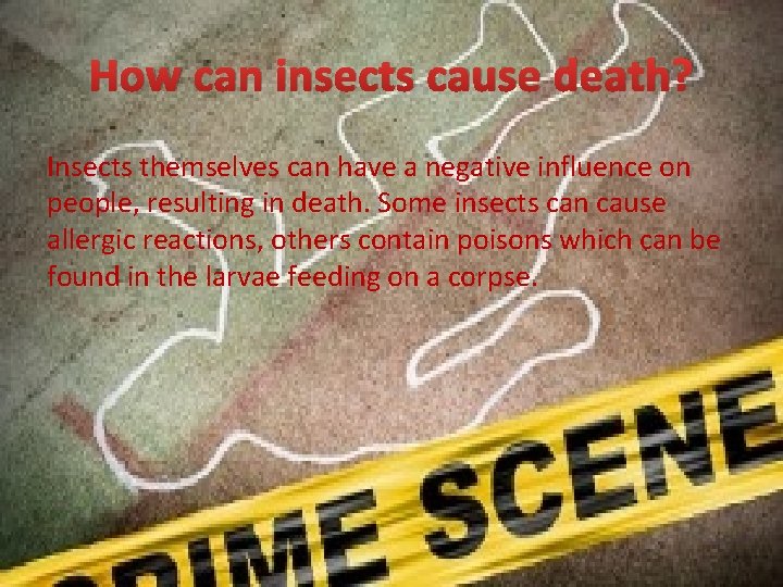 How can insects cause death? Insects themselves can have a negative influence on people,