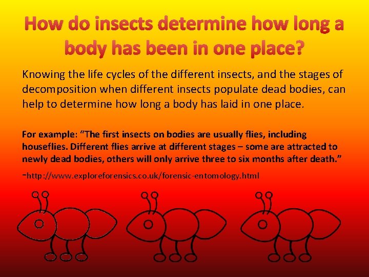 How do insects determine how long a body has been in one place? Knowing