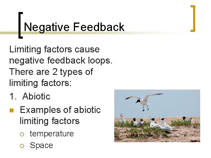 Negative Feedback Limiting factors cause negative feedback loops. There are 2 types of limiting