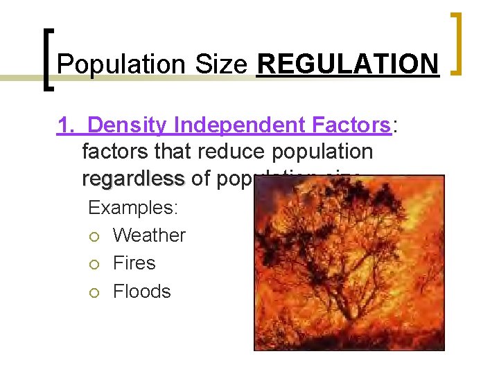 Population Size REGULATION 1. Density Independent Factors: factors that reduce population regardless of population