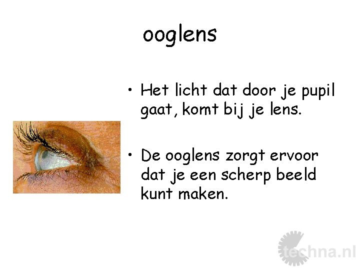 ooglens • Het licht dat door je pupil gaat, komt bij je lens. •