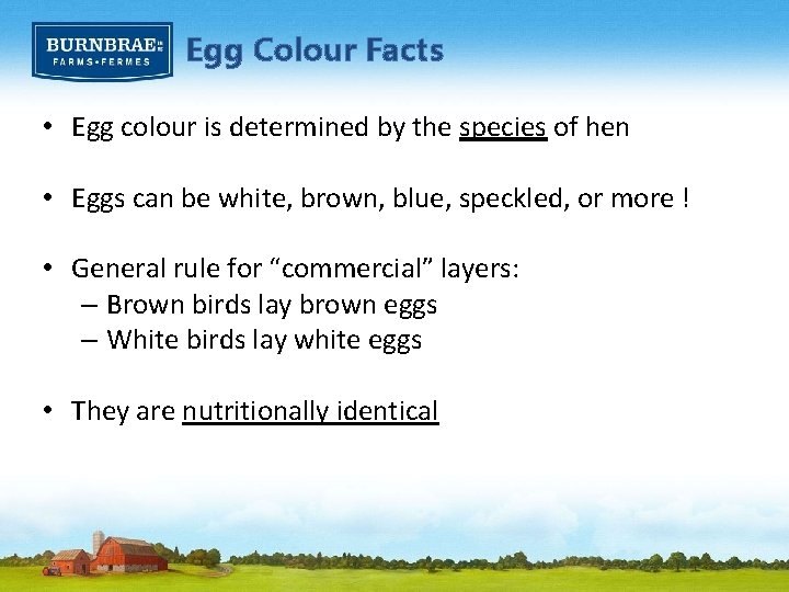 Egg Colour Facts • Egg colour is determined by the species of hen •