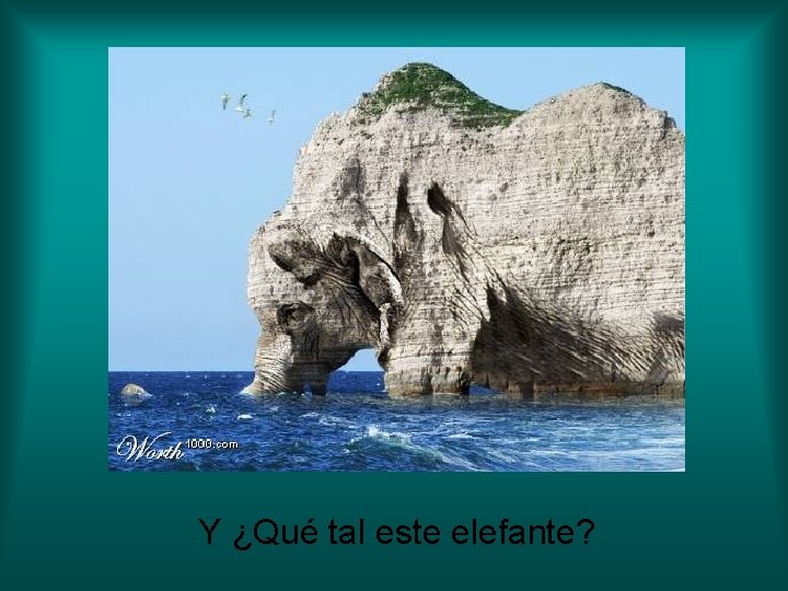 Y ¿Qué tal este elefante? 