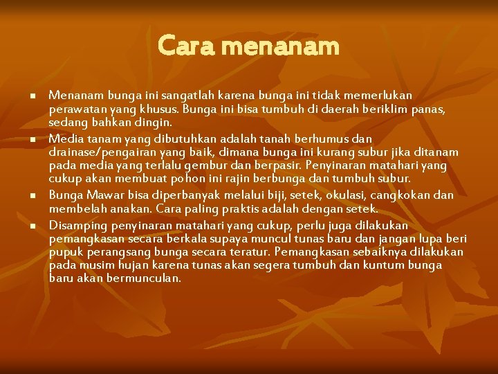 Cara menanam n n Menanam bunga ini sangatlah karena bunga ini tidak memerlukan perawatan