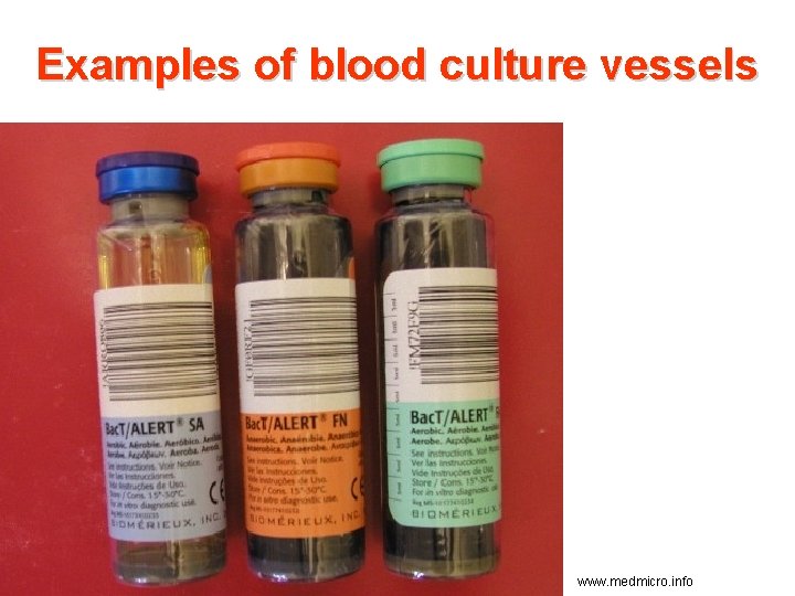 Examples of blood culture vessels www. medmicro. info 