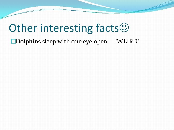 Other interesting facts �Dolphins sleep with one eye open !WEIRD! Other interesting facts �Dolphins sleep with one eye open !WEIRD!