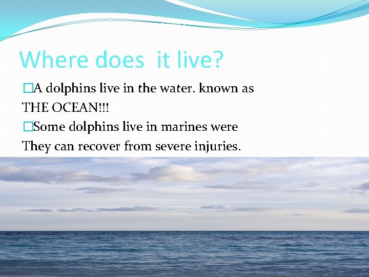 Where does it live? �A dolphins live in the water. known as THE OCEAN!!! Where does it live? �A dolphins live in the water. known as THE OCEAN!!!