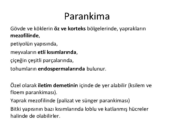 Parankima Gövde ve köklerin öz ve korteks bölgelerinde, yaprakların mezofilinde, petiyolün yapısında, meyvaların etli