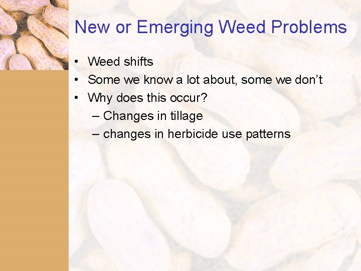 New or Emerging Weed Problems • Weed shifts • Some we know a lot