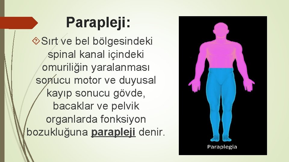 Parapleji: Sırt ve bel bölgesindeki spinal kanal içindeki omuriliğin yaralanması sonucu motor ve duyusal