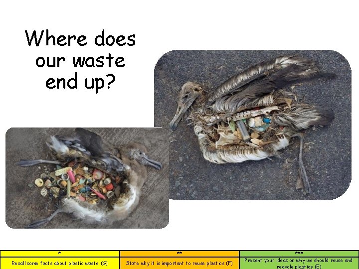 Where does our waste end up? * ** Recall some facts about plastic waste