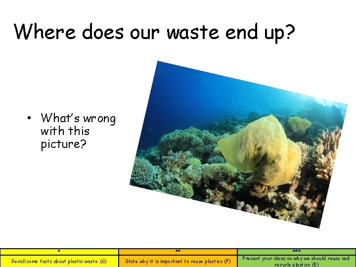 Where does our waste end up? • What’s wrong with this picture? * **