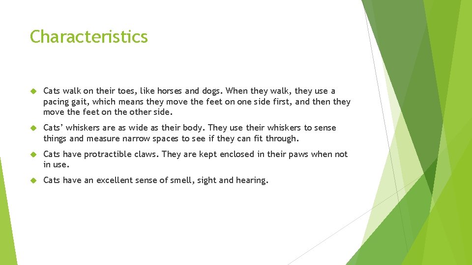Characteristics Cats walk on their toes, like horses and dogs. When they walk, they