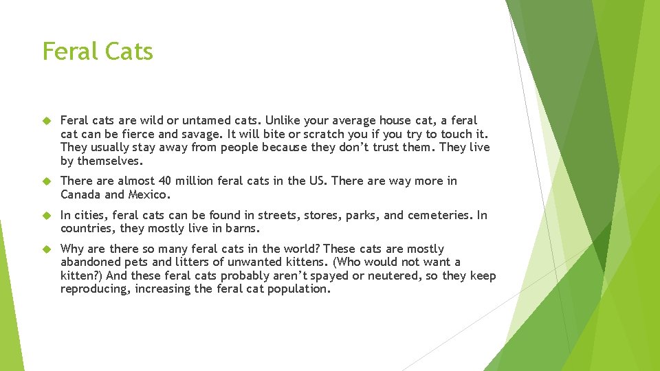 Feral Cats Feral cats are wild or untamed cats. Unlike your average house cat,
