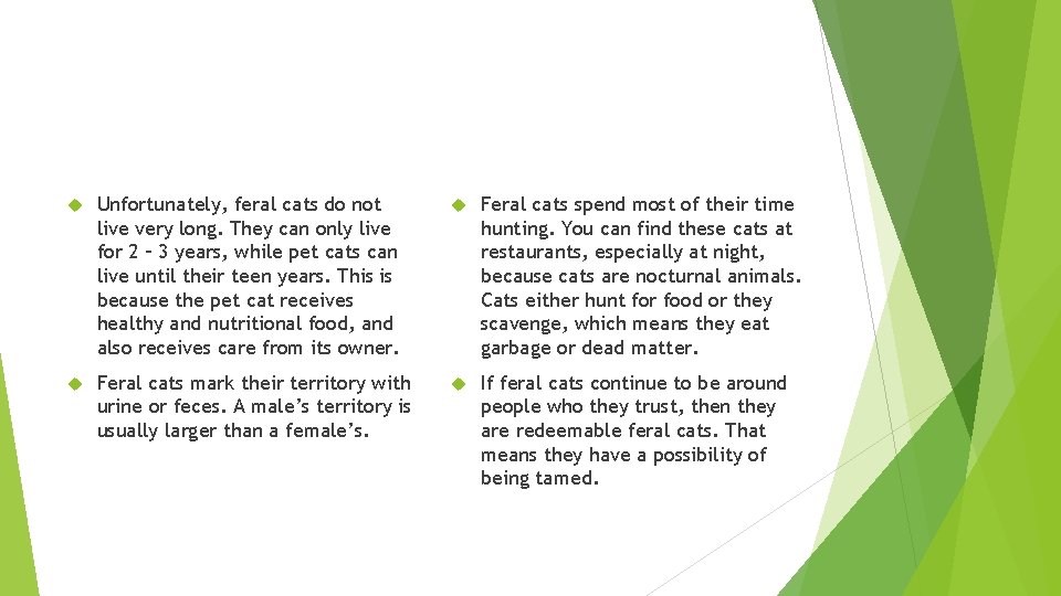  Unfortunately, feral cats do not live very long. They can only live for